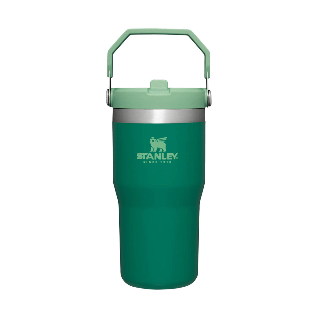 Stanley The IceFlow Flip Straw Tumbler 20 oz - Alpine - Lenny's Shoe & Apparel