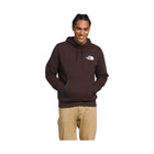 The North Face Men's Box NSE Pullover Hoodie - Coal Brown/Monogram - Lenny's Shoe & Apparel